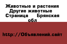 Животные и растения Другие животные - Страница 2 . Брянская обл.